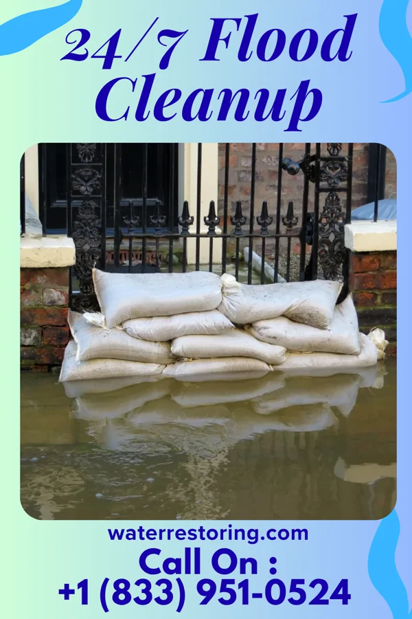 24/7 Flood Cleanup in Friendship, WI