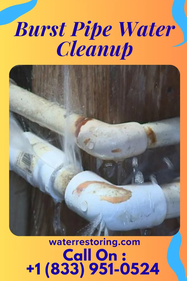 Burst Pipe Water Cleanup in Friendship, WI