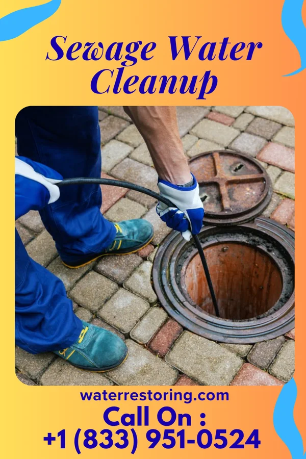 Sewage Water Cleanup in Friendship, WI