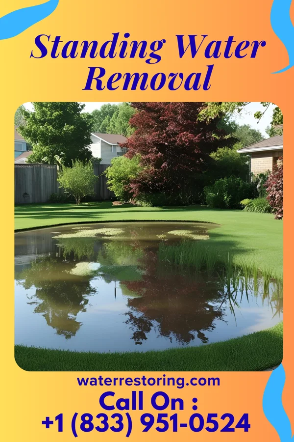 Standing Water Removal in Friendship, WI